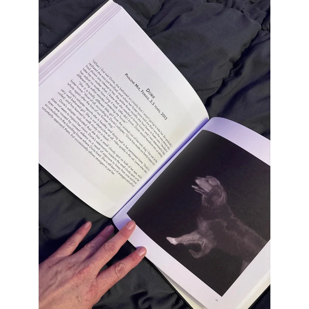 NEW Abandoned Chronicling the Journeys of Once-Forsaken Dogs Katherine Carver HC